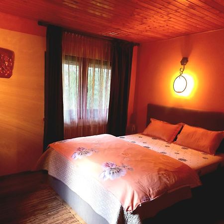 Hotel Casa Artemi Remeţi Zewnętrze zdjęcie