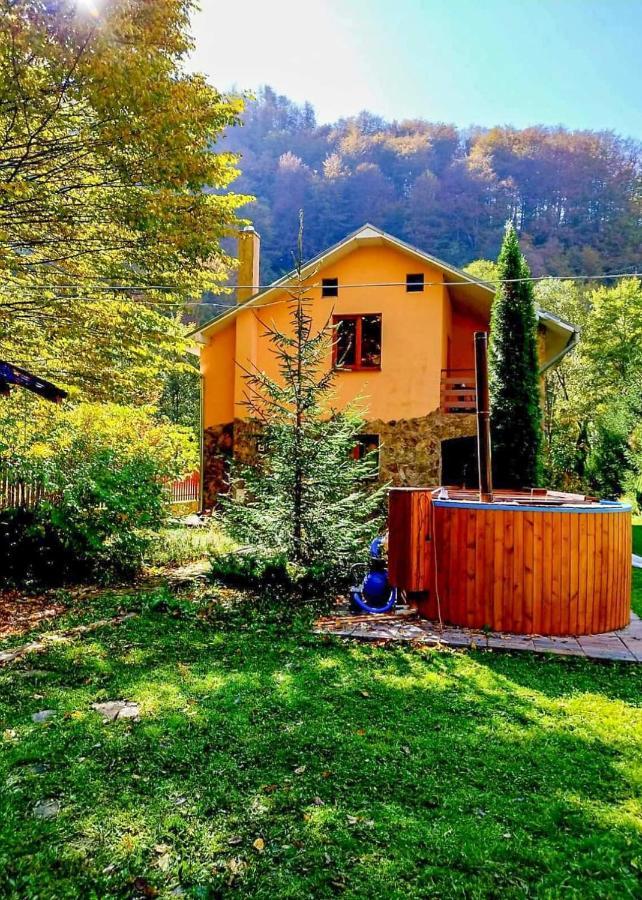 Hotel Casa Artemi Remeţi Zewnętrze zdjęcie