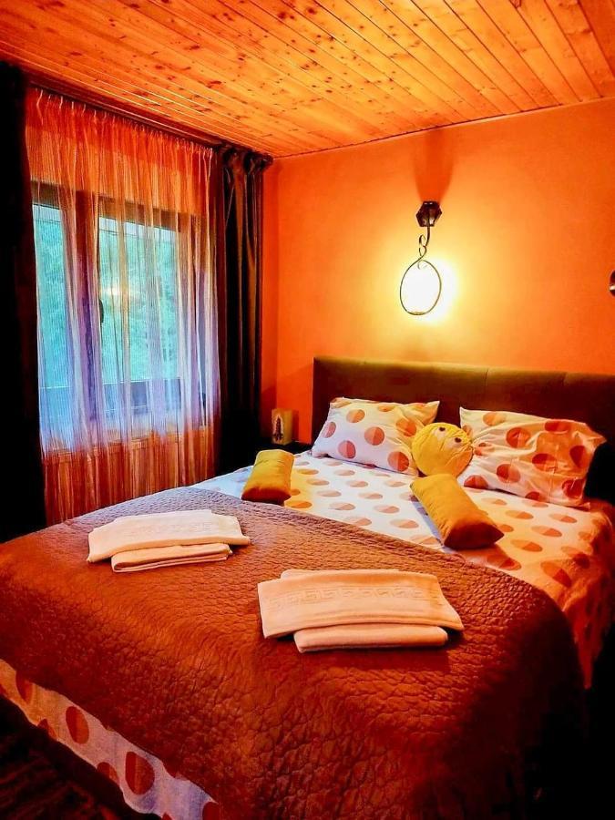 Hotel Casa Artemi Remeţi Zewnętrze zdjęcie