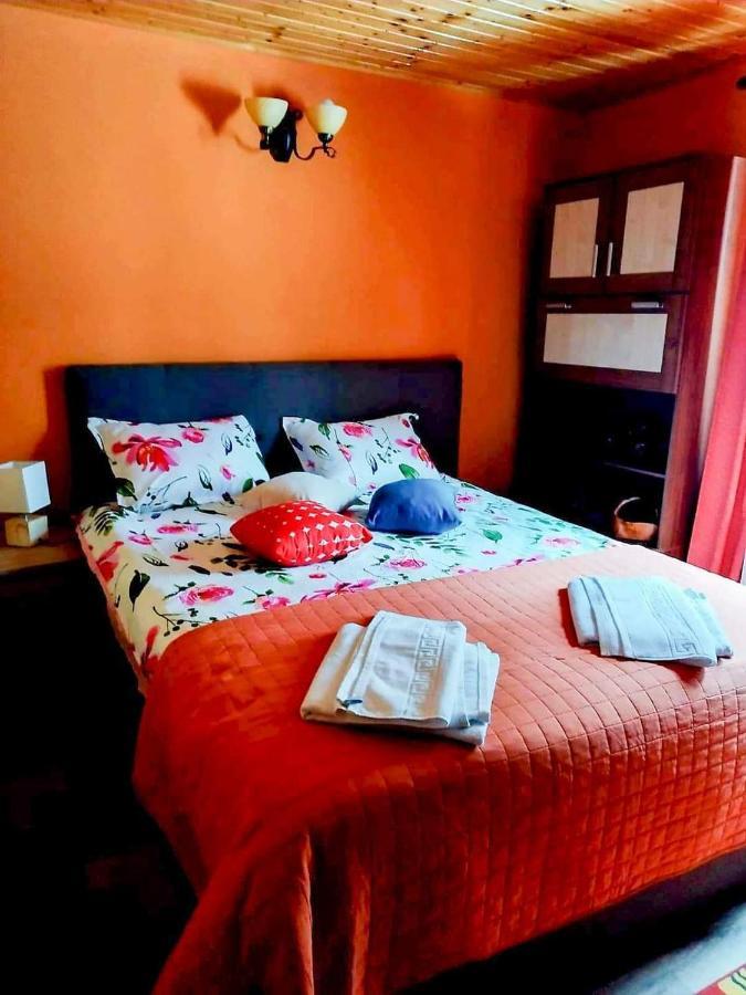 Hotel Casa Artemi Remeţi Zewnętrze zdjęcie