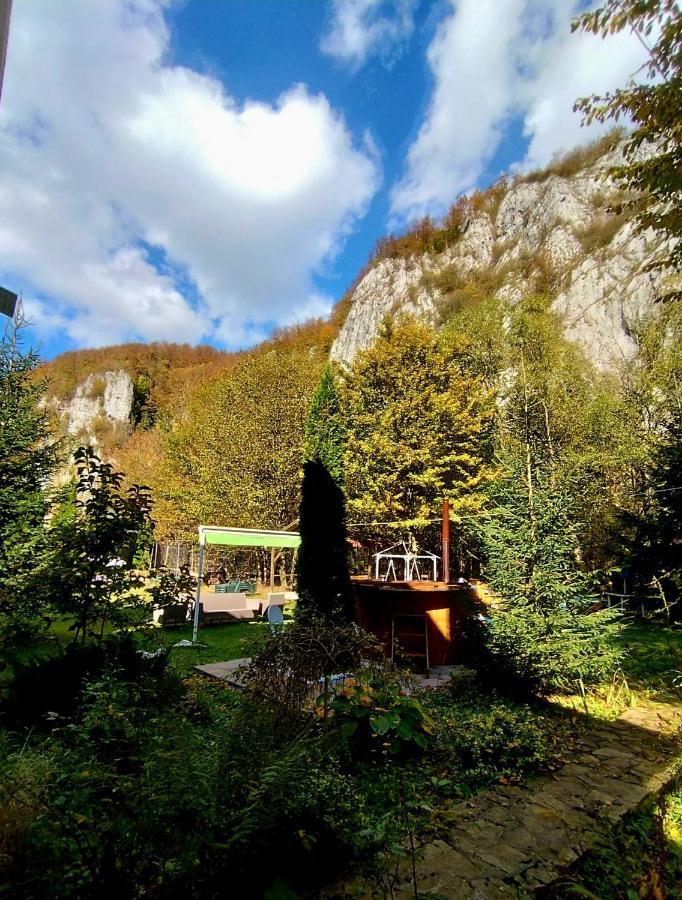 Hotel Casa Artemi Remeţi Zewnętrze zdjęcie