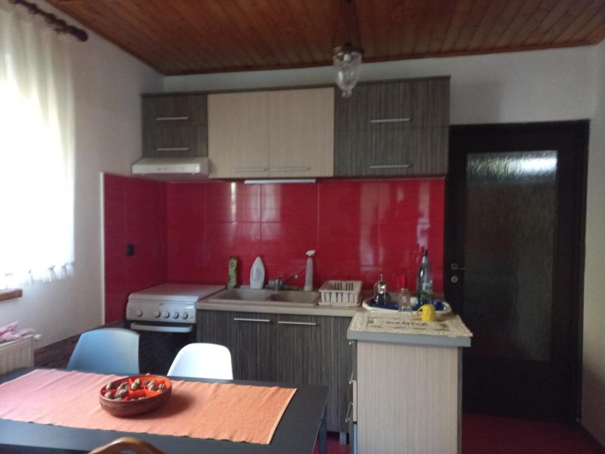 Hotel Casa Artemi Remeţi Zewnętrze zdjęcie