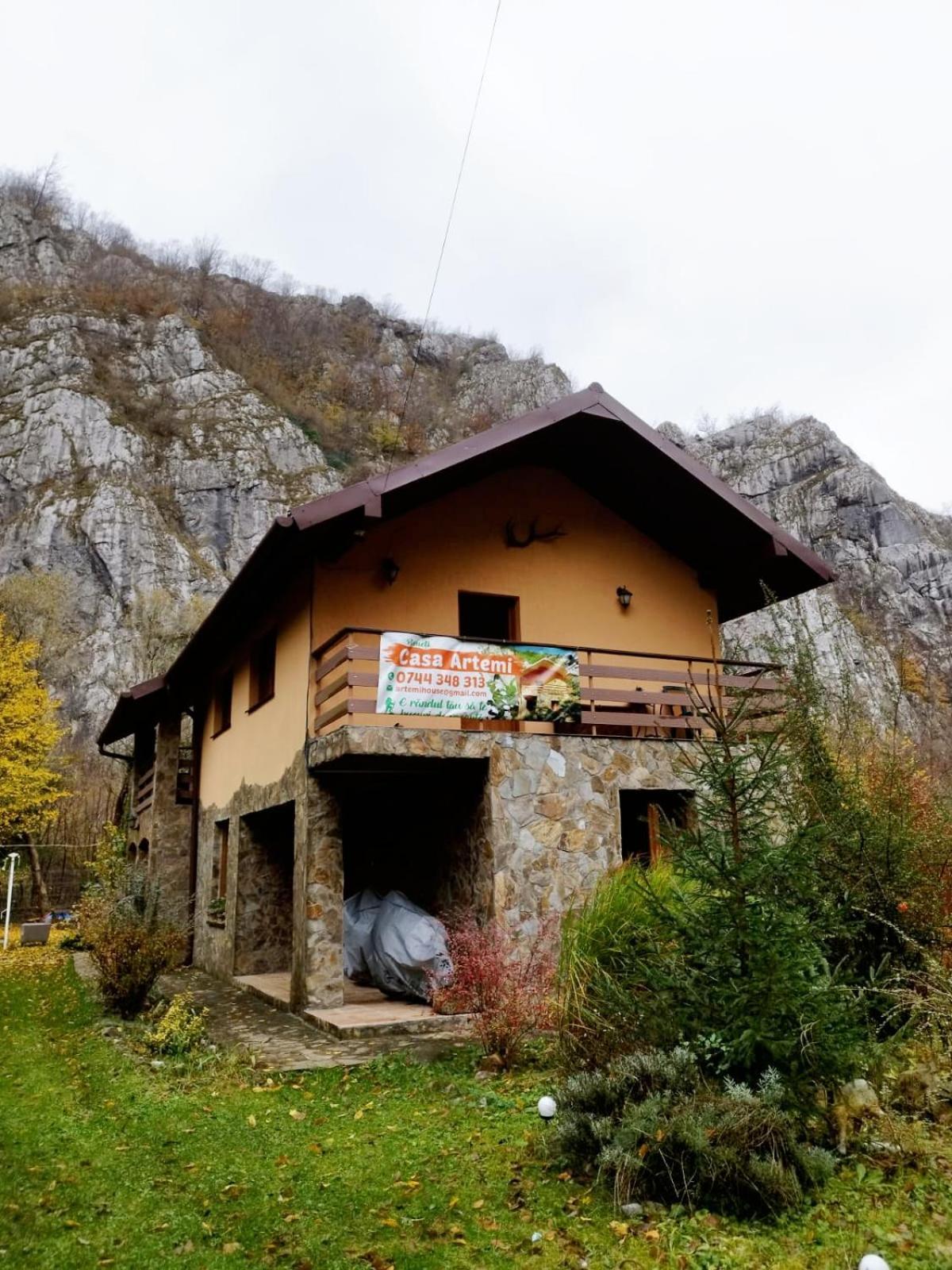 Hotel Casa Artemi Remeţi Zewnętrze zdjęcie