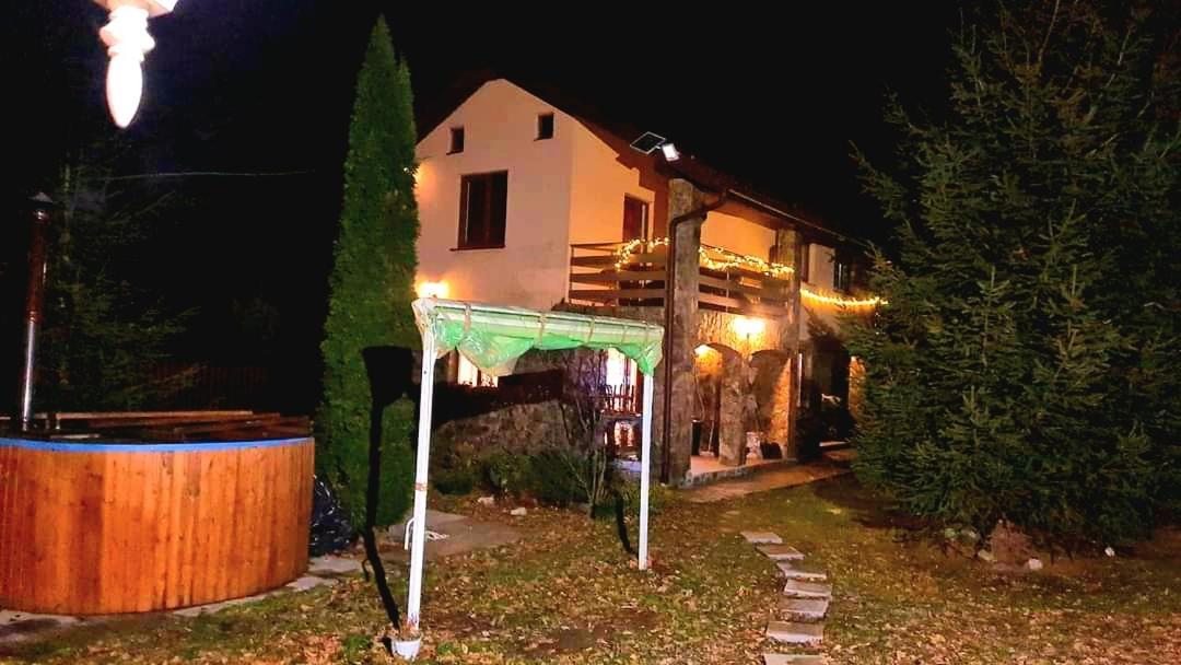 Hotel Casa Artemi Remeţi Zewnętrze zdjęcie