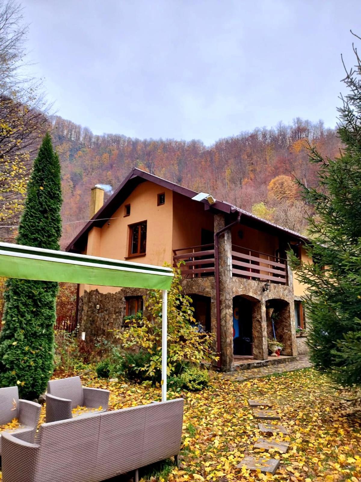 Hotel Casa Artemi Remeţi Zewnętrze zdjęcie